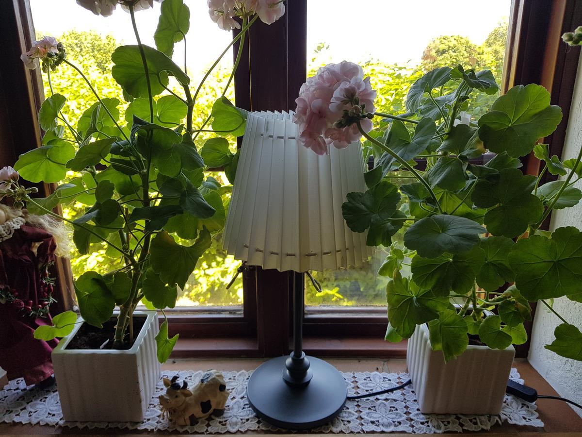Smultronbacken Villa Eljarod Kültér fotó